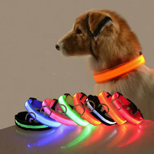 Reflektierendes LED-Hundehalsband für nächtliche Sicherheit – langlebig, mit geometrischem Muster, batteriebetrieben, ideal für kleine/mittelgroße Rassen